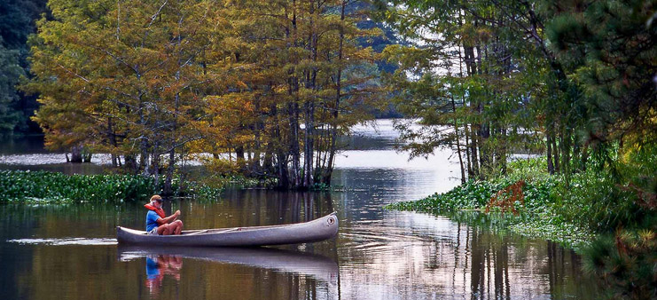 Angelina-Neches/Dam B Wildlife Management Area