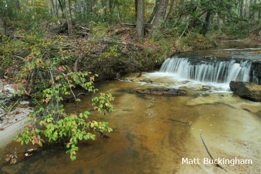 Boykin Springs Recreation Area