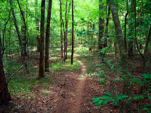 Double Lake Recreation Area