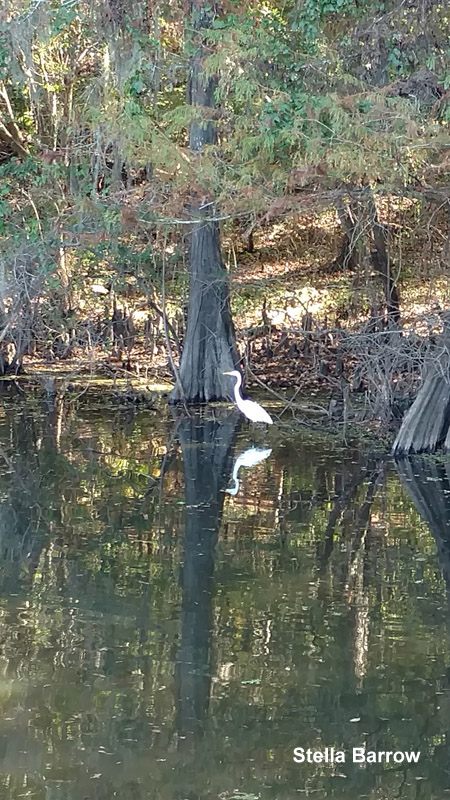 Haggerty Creek Paddling Trail