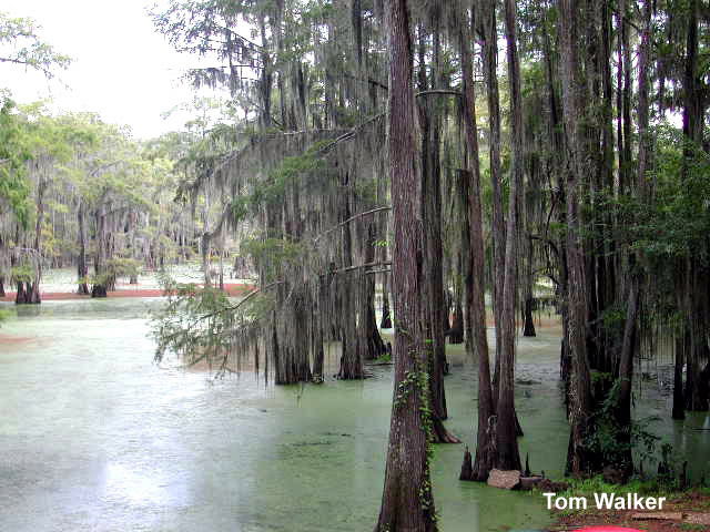 Hell's Half Acre Paddling Trail