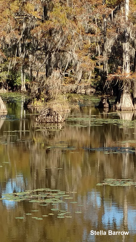 Mill Pond Paddling Trail