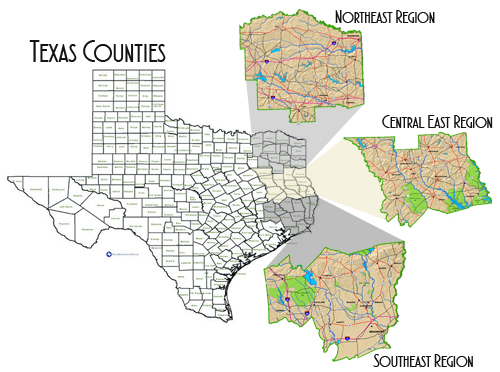 Texas Regions