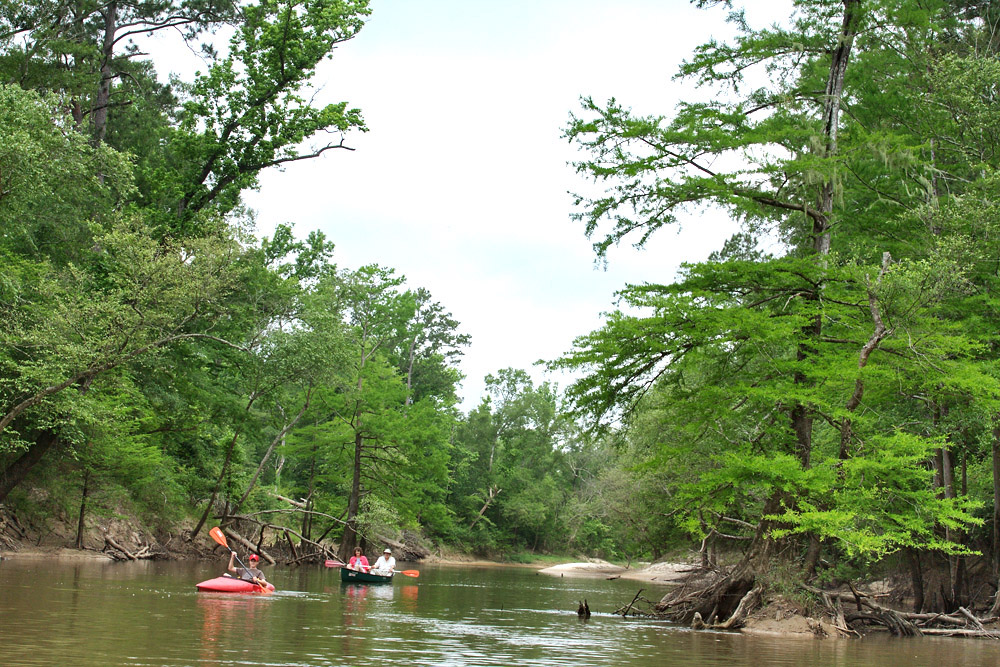 Village Creek Paddling Trail