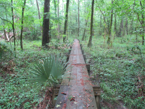 Big Creek Scenic Area