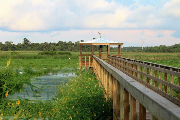 Cattail Marsh Scenic Wetlands