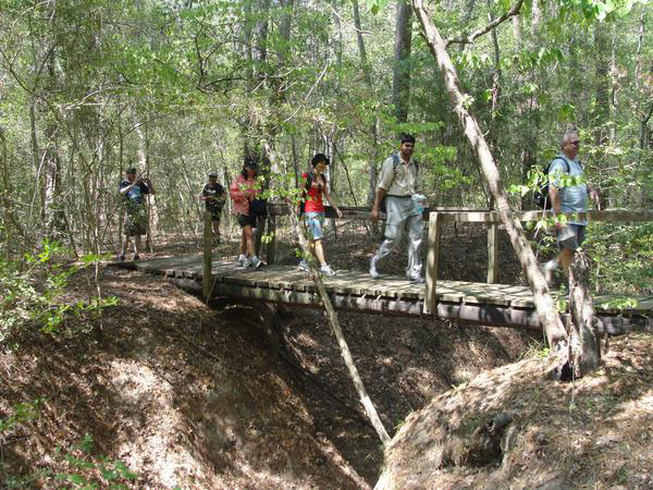 Little Lake Creek Wilderness